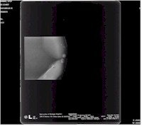 2001 02 05 12 54 44 706