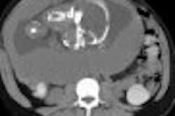 Appendix Rn 2001 01 15 Small