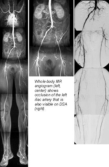 2001 04 10 15 23 55 706