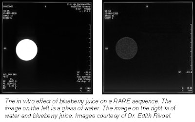 2001 04 25 15 15 38 706