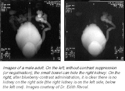 2001 04 25 15 17 57 706