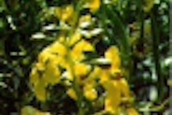 2001 06 29 15 05 53 706