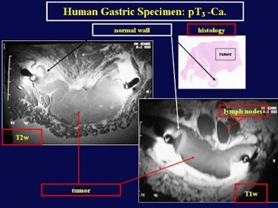 2001 07 03 14 16 16 706