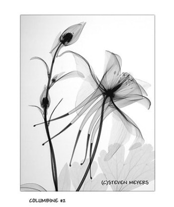 2001 07 16 14 03 16 706