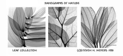 2001 07 16 14 16 50 706