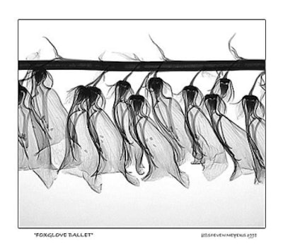 2001 07 16 14 20 08 706