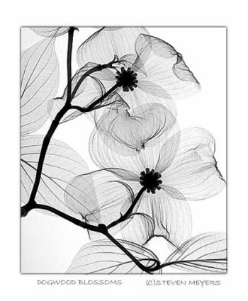 2001 07 16 14 21 39 706