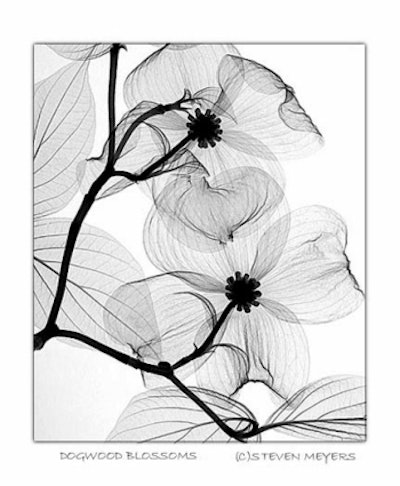 2001 07 16 14 21 39 706