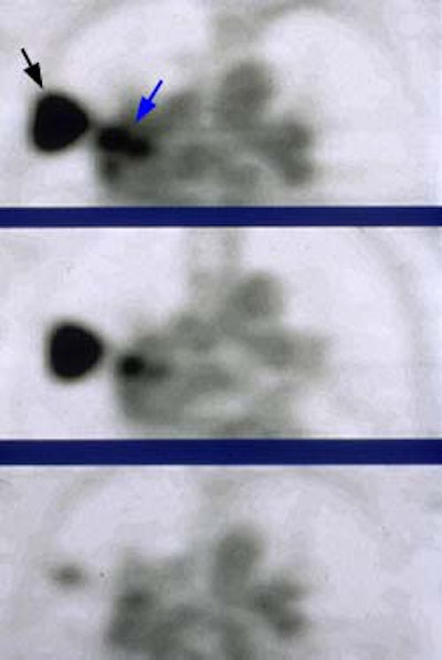 08290111242163 Pet Post Rx