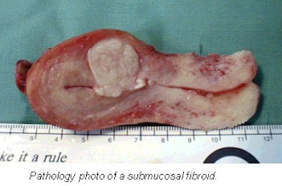 2001 11 12 10 38 33 706