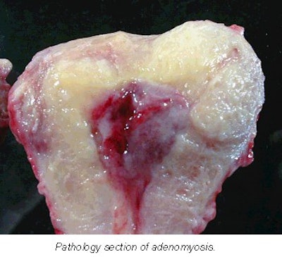 2001 11 12 10 39 26 706