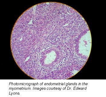 2001 11 12 10 39 48 706