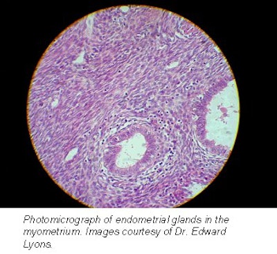 2001 11 12 10 39 48 706