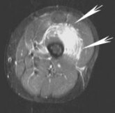 2002 02 13 16 33 04 706