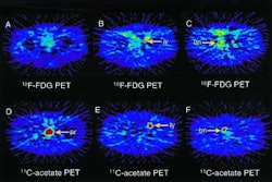 2002 02 14 17 39 50 706