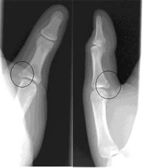 2002 02 14 17 56 18 706