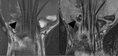 2002 02 21 17 34 26 706