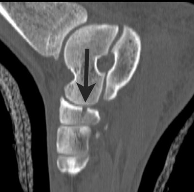 2002 02 22 11 05 58 706