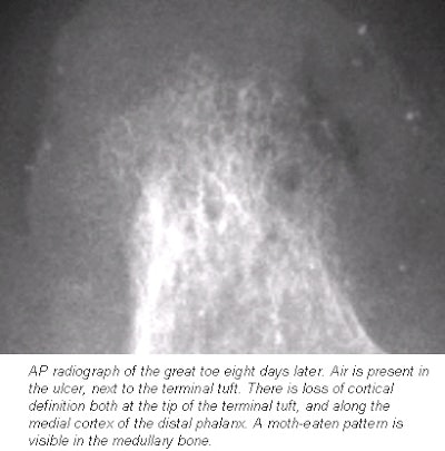 2002 02 27 13 07 27 706