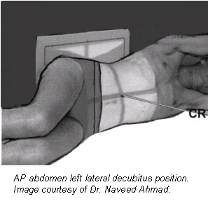 2002 03 01 15 17 46 706