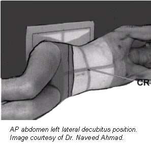 2002 03 01 15 17 46 706