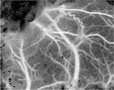 2002 03 18 14 52 15 706