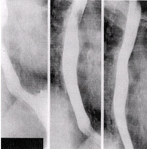 2002 03 19 16 23 32 706