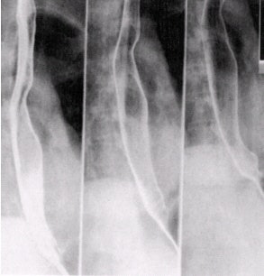 2002 03 19 16 32 55 706