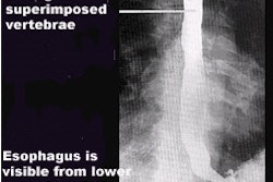 2002 03 19 16 39 32 706