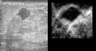 2002 03 26 14 49 25 706