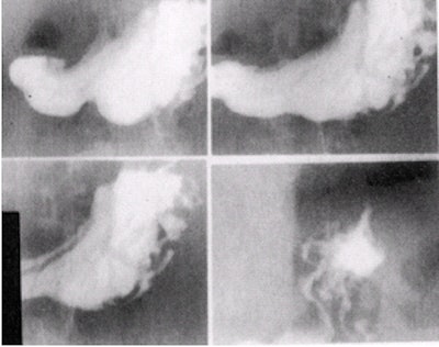 2002 04 16 15 41 07 706