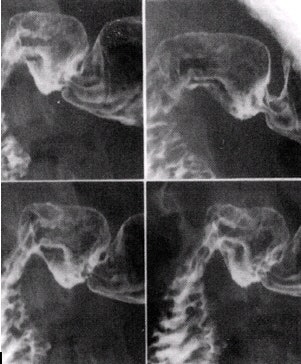 2002 04 16 16 11 09 706