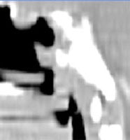 HN_cone.JPG (8752 bytes)