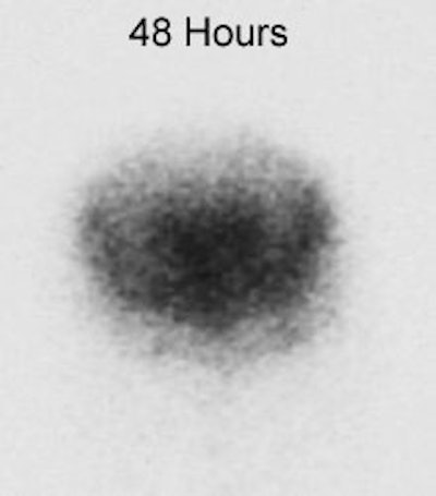 NPH_48_sm.jpg (8541 bytes)