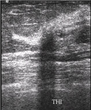 2002 05 09 14 09 59 706