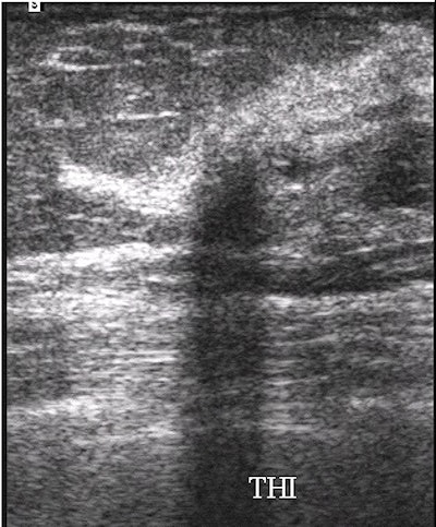 2002 05 09 14 09 59 706