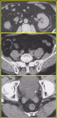 2002 05 23 15 16 27 706