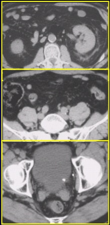 2002 05 23 15 18 14 706