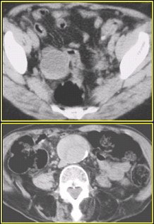 2002 05 23 15 23 53 706