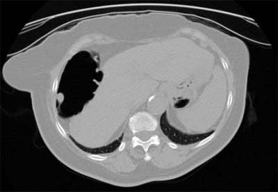 2002 05 31 14 48 49 706