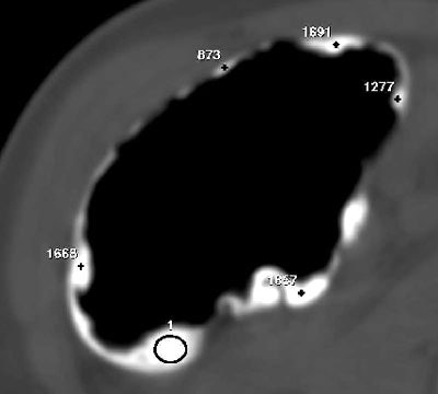 2002 06 03 10 55 56 706