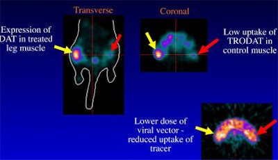 2002 06 17 17 33 56 706