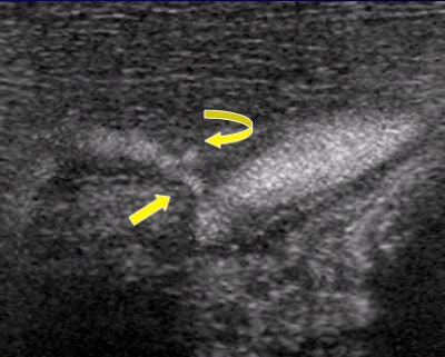 2002 07 01 14 34 54 706