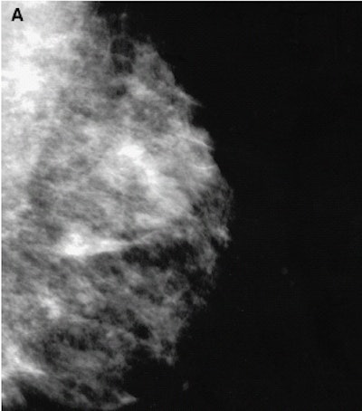 2002 08 05 15 34 32 706