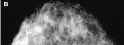 2002 08 05 15 37 29 706