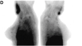 2002 08 05 15 42 47 706