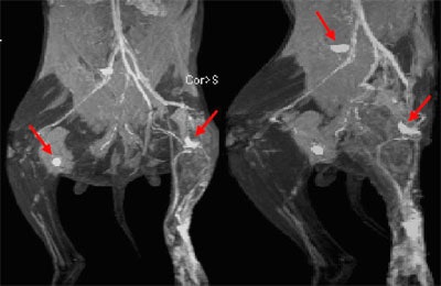 2002 08 08 11 10 22 706