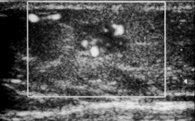 2002 10 15 15 34 05 706