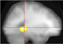 2002 10 17 13 46 39 706