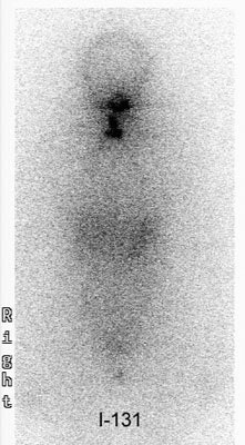 2002 10 17 14 36 15 706